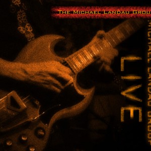 michael-landau-live